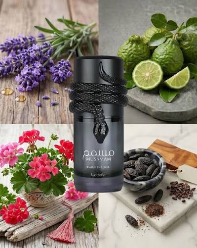 Musaman Black Intense