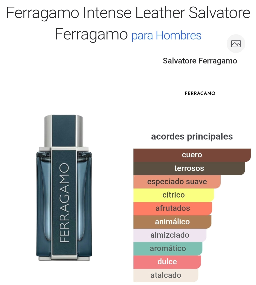 Ferragamo Intense Leader