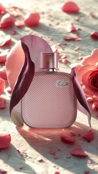 Lacoste Silver Rose